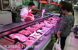 食品安全无小事 土木工程学院暑期社会实践探索食品安全与互联网服务融合