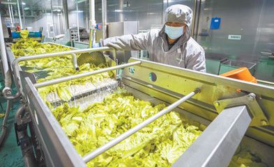 绿色消费新风尚 从餐桌开始，拥抱环保健康新生活